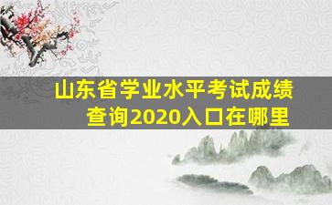 山东省学业水平考试成绩查询2020入口在哪里