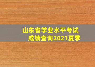 山东省学业水平考试成绩查询2021夏季