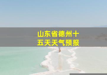 山东省德州十五天天气预报