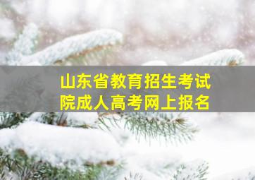 山东省教育招生考试院成人高考网上报名