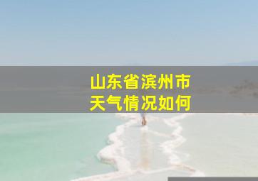 山东省滨州市天气情况如何