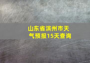 山东省滨州市天气预报15天查询