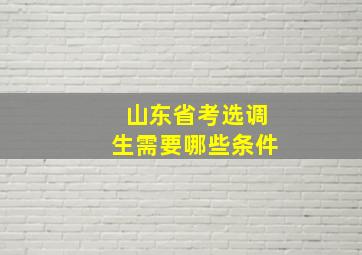 山东省考选调生需要哪些条件