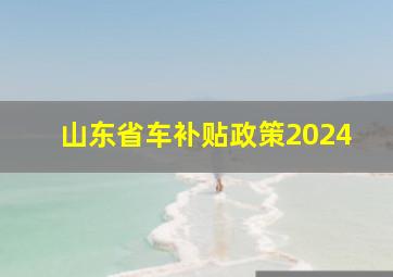 山东省车补贴政策2024