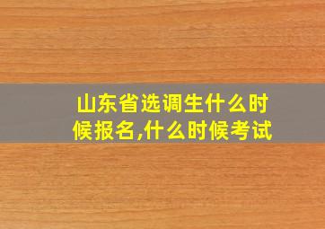 山东省选调生什么时候报名,什么时候考试