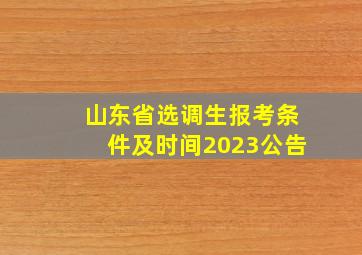 山东省选调生报考条件及时间2023公告