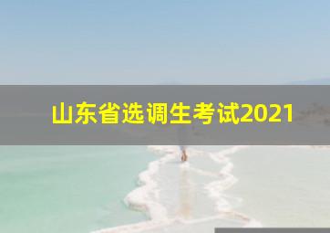 山东省选调生考试2021