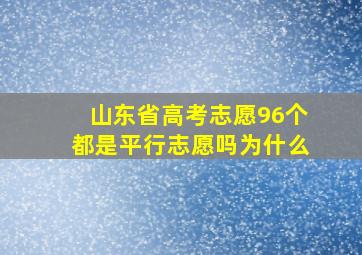 山东省高考志愿96个都是平行志愿吗为什么