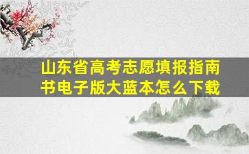 山东省高考志愿填报指南书电子版大蓝本怎么下载