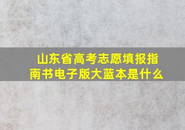 山东省高考志愿填报指南书电子版大蓝本是什么