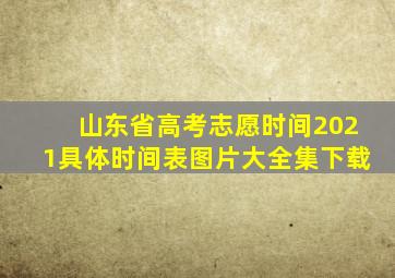 山东省高考志愿时间2021具体时间表图片大全集下载