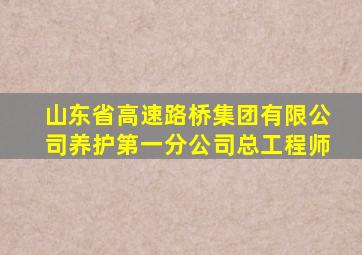 山东省高速路桥集团有限公司养护第一分公司总工程师