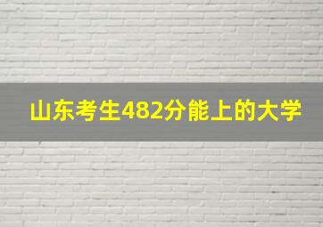 山东考生482分能上的大学