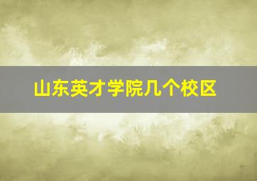 山东英才学院几个校区