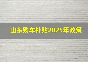 山东购车补贴2025年政策