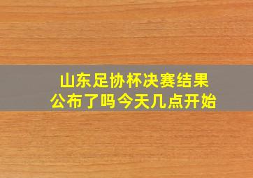 山东足协杯决赛结果公布了吗今天几点开始