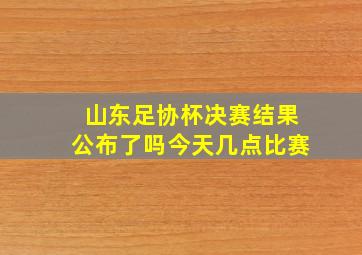 山东足协杯决赛结果公布了吗今天几点比赛