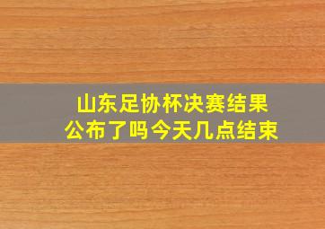 山东足协杯决赛结果公布了吗今天几点结束