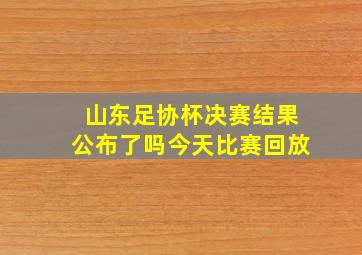 山东足协杯决赛结果公布了吗今天比赛回放