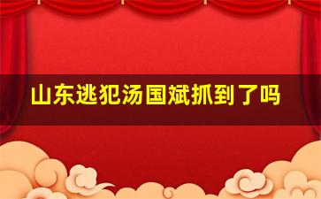 山东逃犯汤国斌抓到了吗