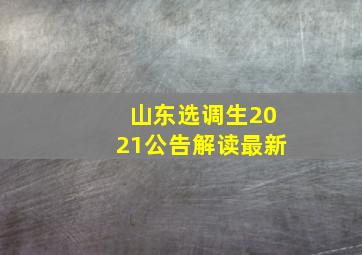 山东选调生2021公告解读最新