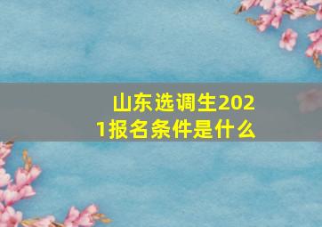 山东选调生2021报名条件是什么