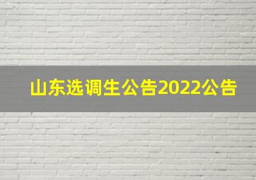 山东选调生公告2022公告