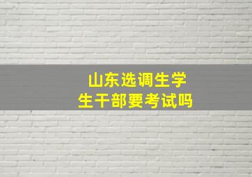 山东选调生学生干部要考试吗