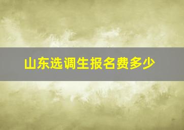 山东选调生报名费多少