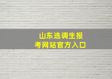 山东选调生报考网站官方入口