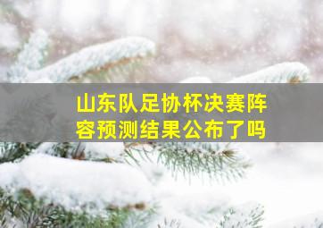 山东队足协杯决赛阵容预测结果公布了吗