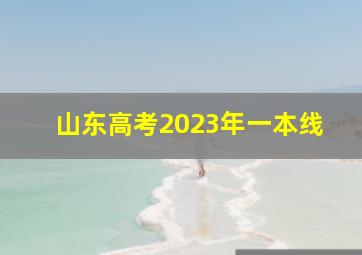 山东高考2023年一本线