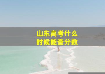 山东高考什么时候能查分数