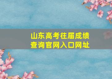 山东高考往届成绩查询官网入口网址