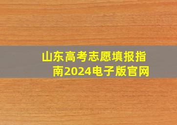 山东高考志愿填报指南2024电子版官网