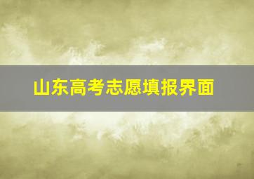 山东高考志愿填报界面