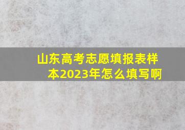 山东高考志愿填报表样本2023年怎么填写啊