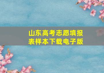 山东高考志愿填报表样本下载电子版