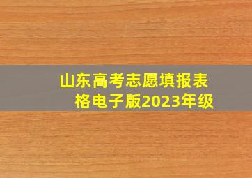 山东高考志愿填报表格电子版2023年级