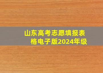 山东高考志愿填报表格电子版2024年级