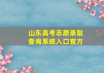 山东高考志愿录取查询系统入口官方