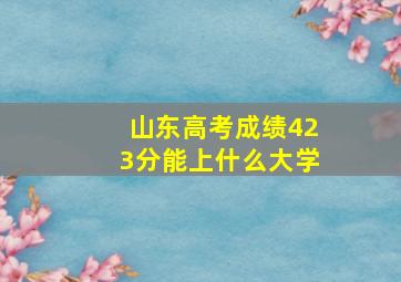 山东高考成绩423分能上什么大学