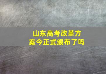 山东高考改革方案今正式颁布了吗