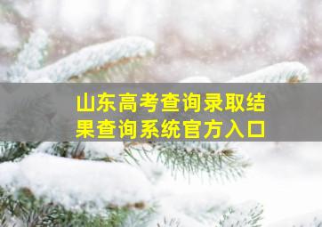 山东高考查询录取结果查询系统官方入口