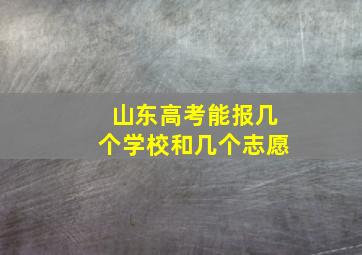 山东高考能报几个学校和几个志愿