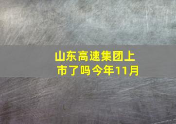 山东高速集团上市了吗今年11月