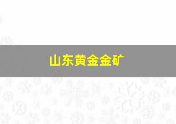 山东黄金金矿