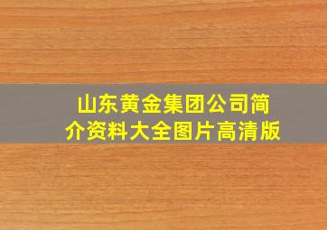 山东黄金集团公司简介资料大全图片高清版