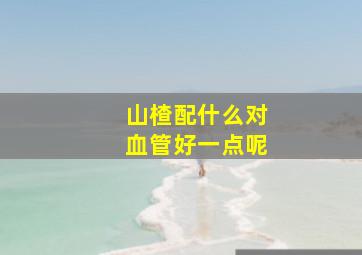 山楂配什么对血管好一点呢