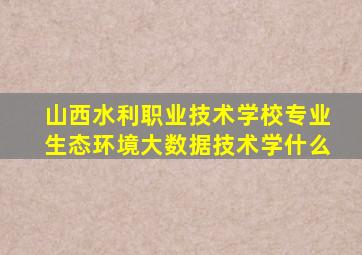 山西水利职业技术学校专业生态环境大数据技术学什么